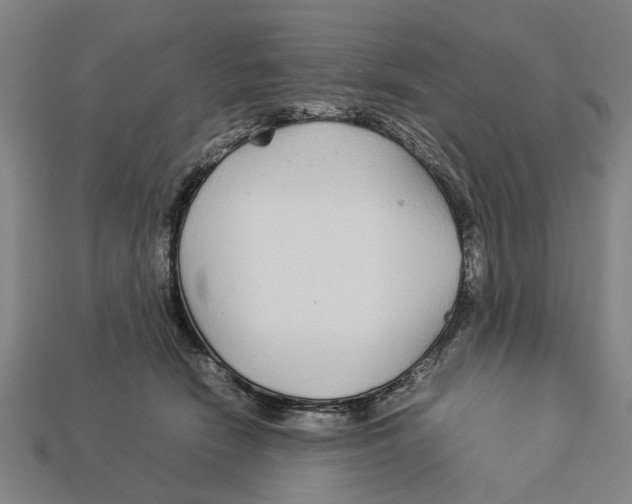 X0000113070466200909250933