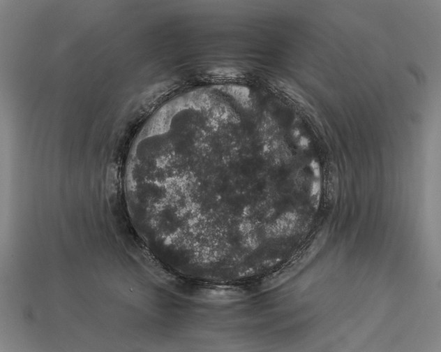 X0000113070467200909250933