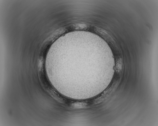 X0000113070468200909250933