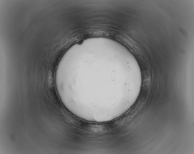 X0000113070469200909250933