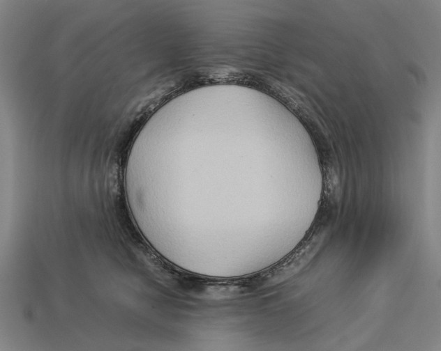 X0000113070470200909250933