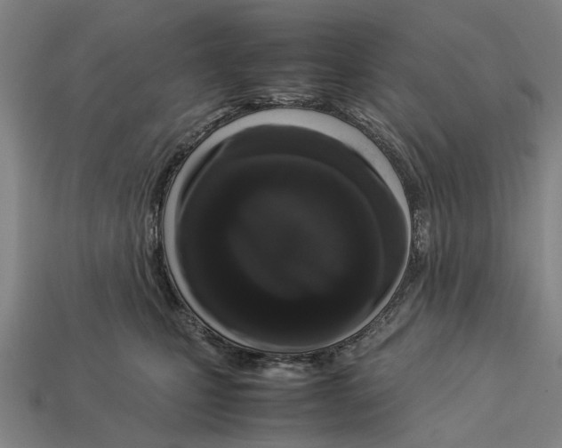 X0000113070471200909250933