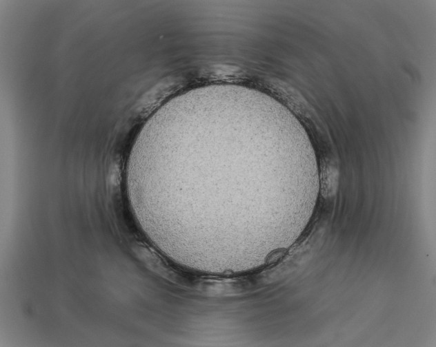 X0000113070472200909250933