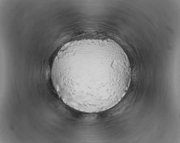 X0000113070474200909250933