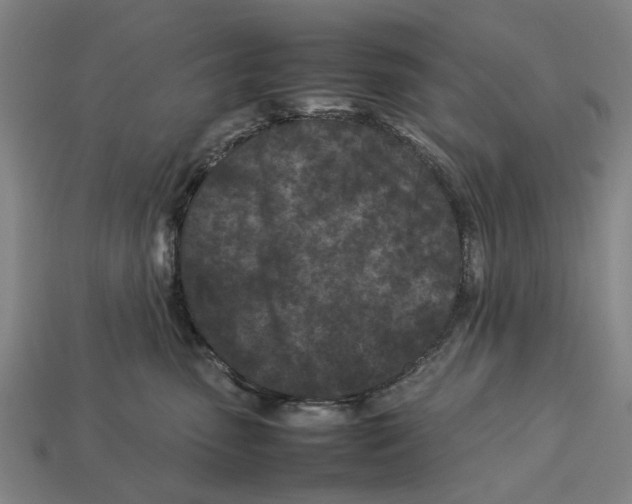 X0000113070475200909250933