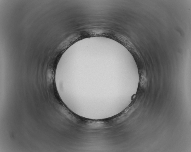 X0000113070476200909250933