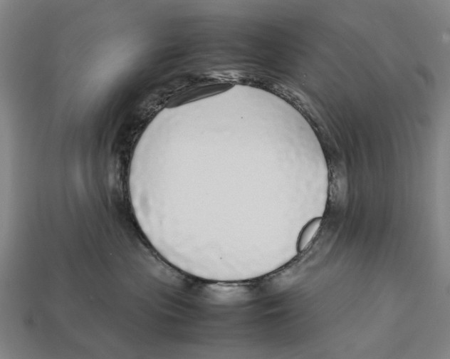 X0000113070477200909250933