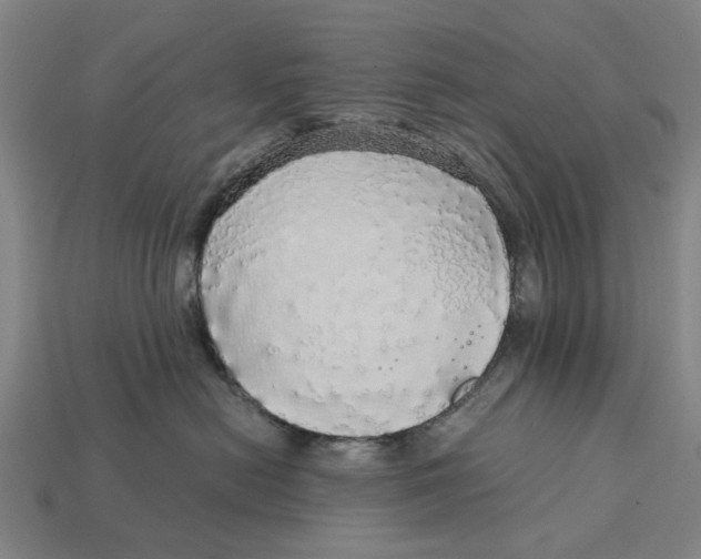 X0000113070478200909250933