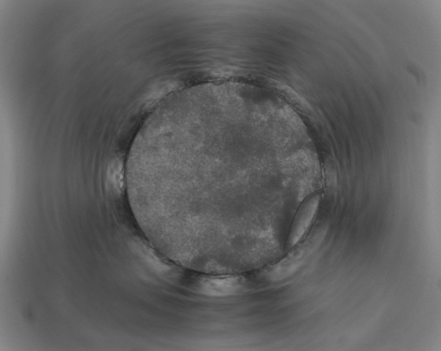 X0000113070479200909250933