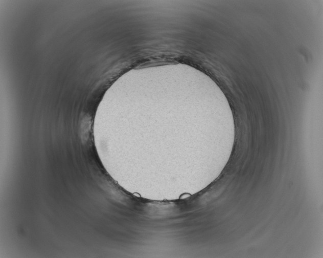 X0000113070480200909250933