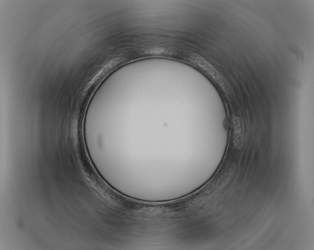 X0000113070482200909250932