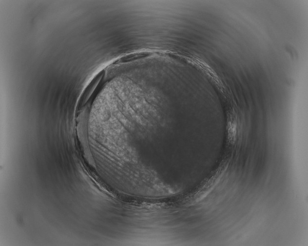 X0000113070484200909250932