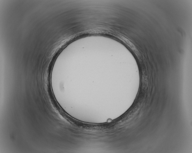 X0000113070485200909250932