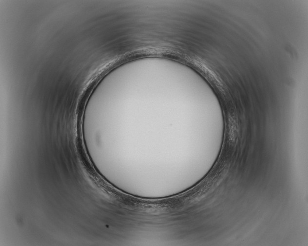 X0000113070486200909250932