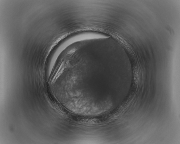 X0000113070488200909250932
