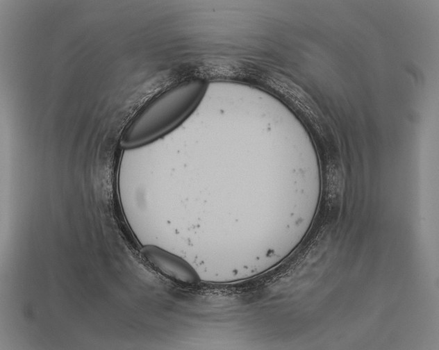 X0000113070489200909250932