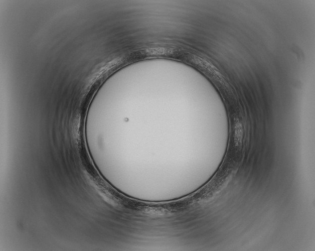 X0000113070490200909250932