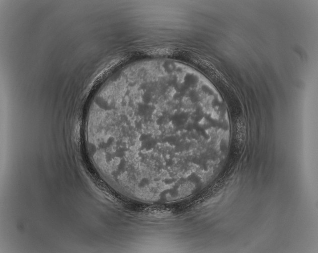 X0000113070491200909250932