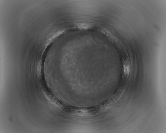 X0000113070492200909250932