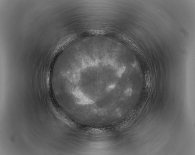 X0000113070494200909250932