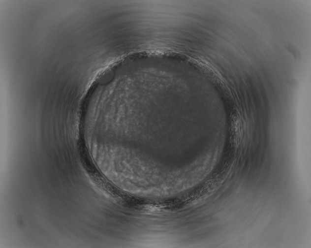 X0000113070496200909250932