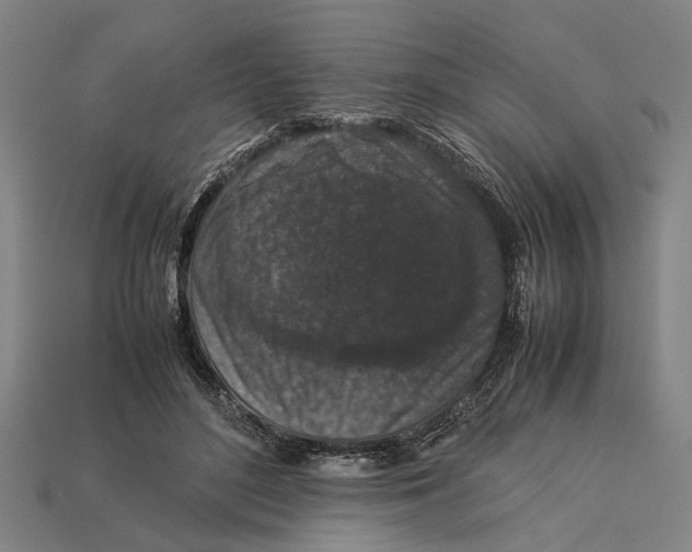 X0000113070500200909250932