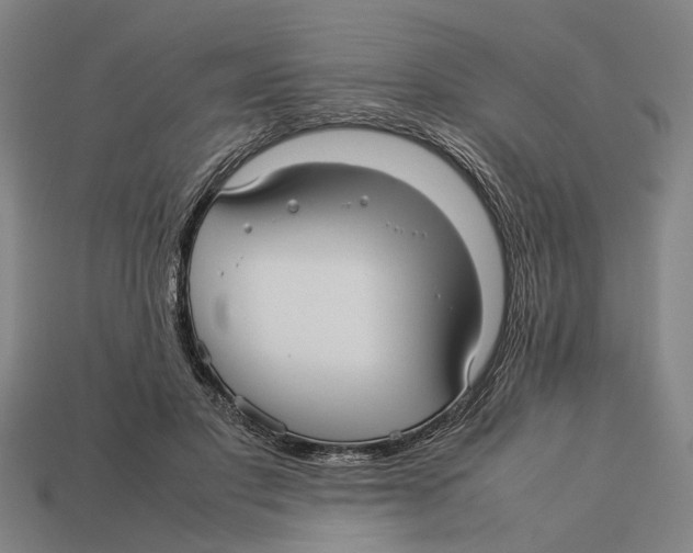X0000113070501200909250932