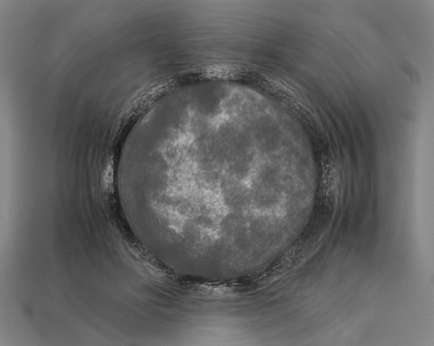 X0000113070502200909250932