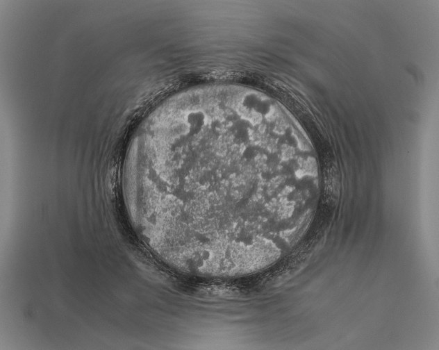X0000113070503200909250932