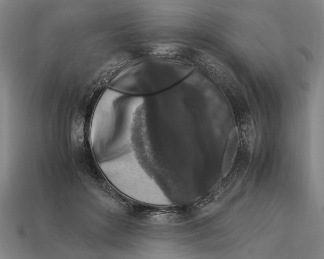 X0000113070504200909250932