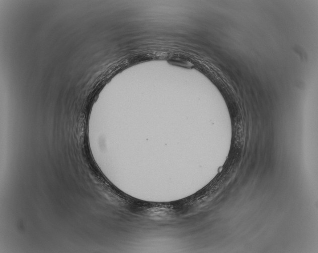 X0000113070505200909250932