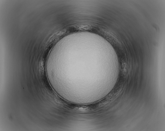 X0000113070506200909250932
