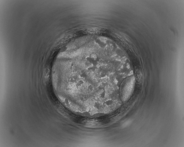 X0000113070507200909250932