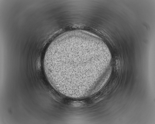 X0000113070508200909250932