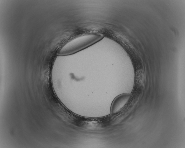 X0000113070509200909250931