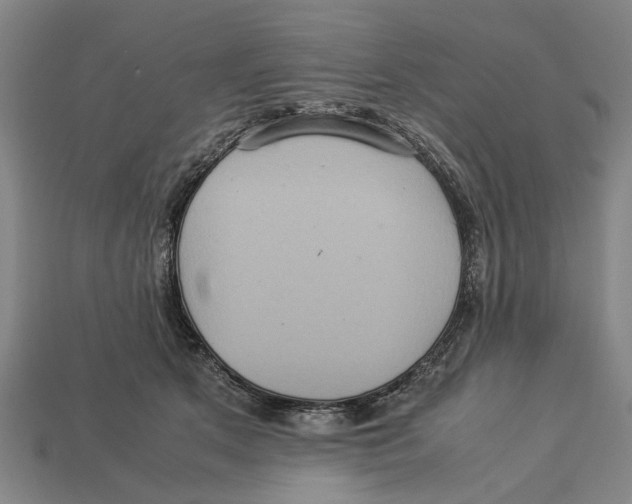 X0000113070513200909250931