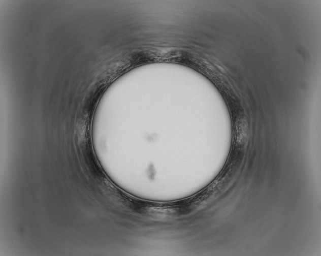 X0000113070515200909250931