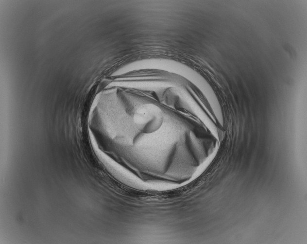 X0000113070516200909250931