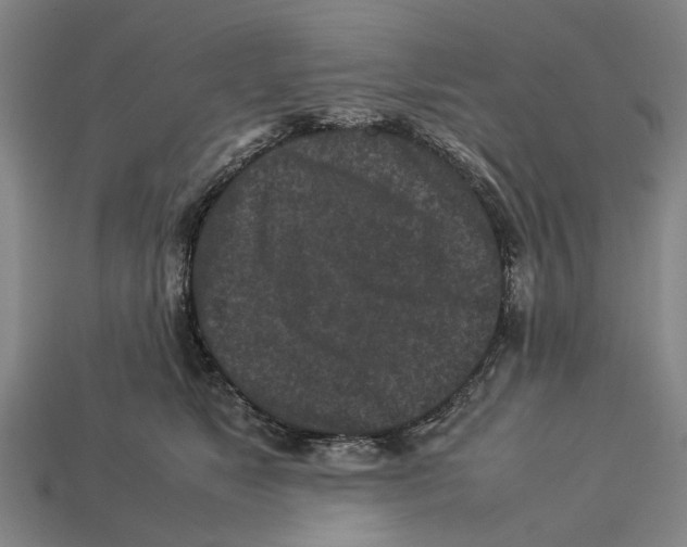 X0000113070517200909250931