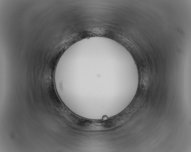 X0000113070518200909250931