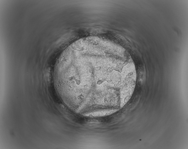 X0000113070519200909250931