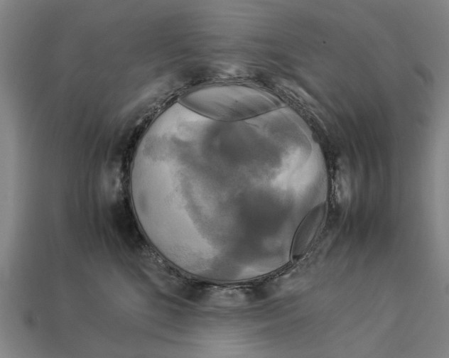 X0000113070520200909250931