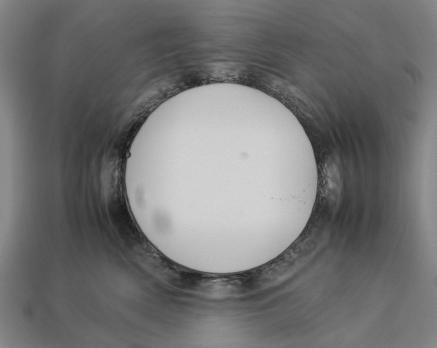 X0000113070522200909250931