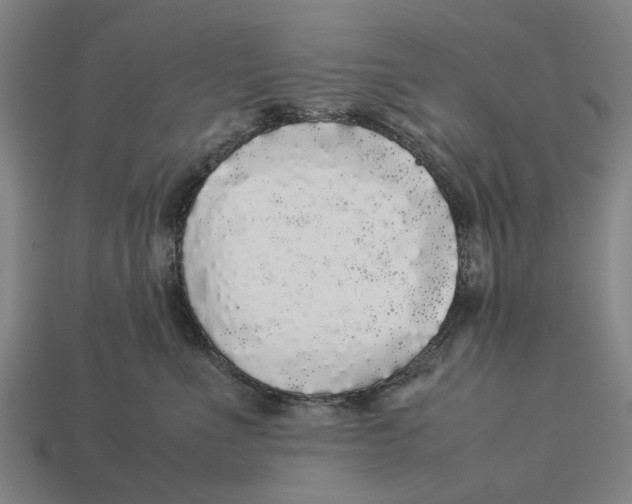 X0000113070523200909250931