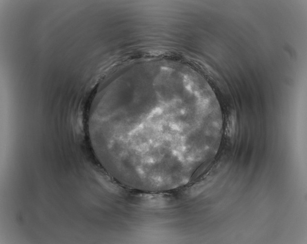 X0000113070524200909250931