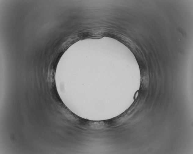 X0000113070525200909250931