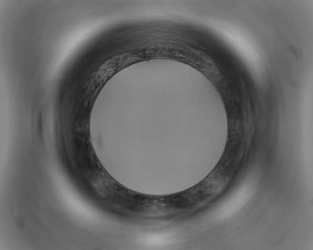 X0000113070526200909250931