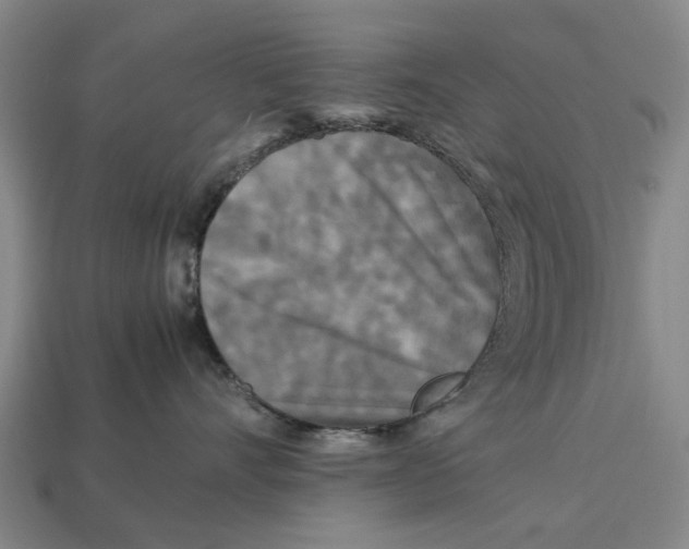 X0000113070528200909250931