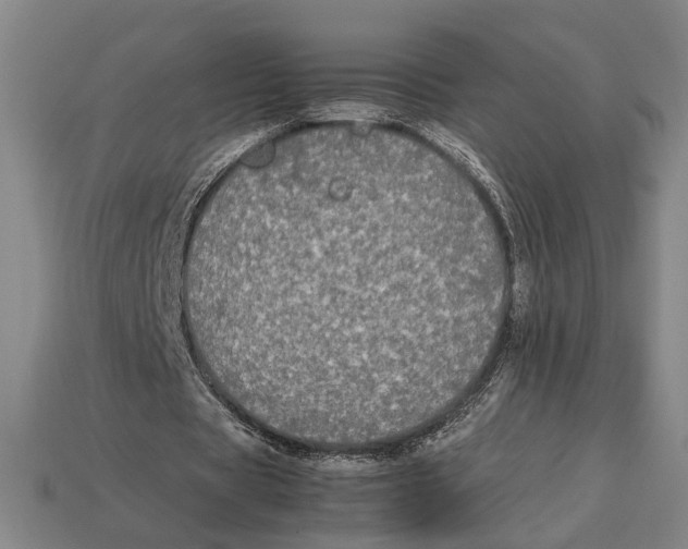 X0000113070529200909250931