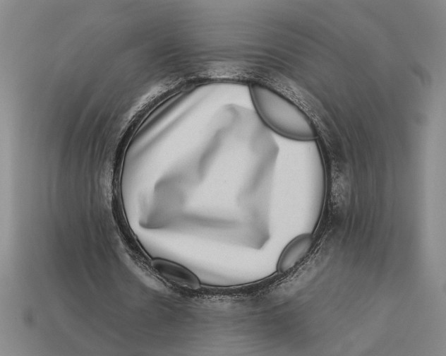 X0000113070530200909250931